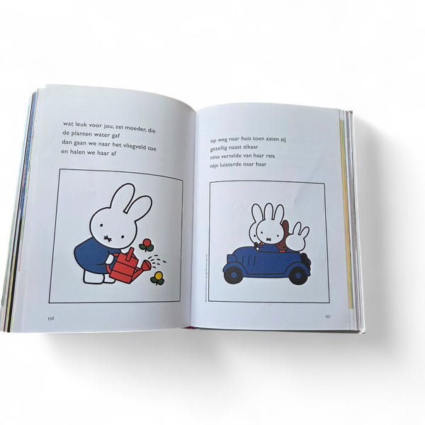 Het GROTE voorleesboek voor rond de 3 jaar