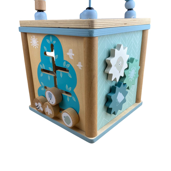 Activiteiten kubus van little dutch