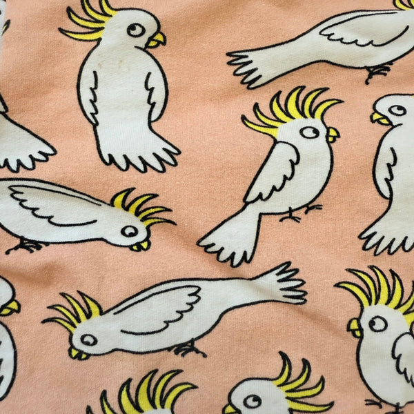 Eva Mouton: trui kaketoe, maat 104