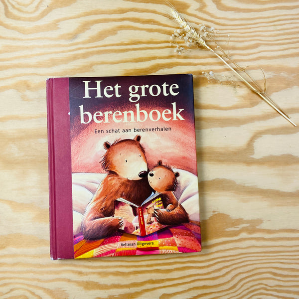 voorleesboek: het grote berenboek