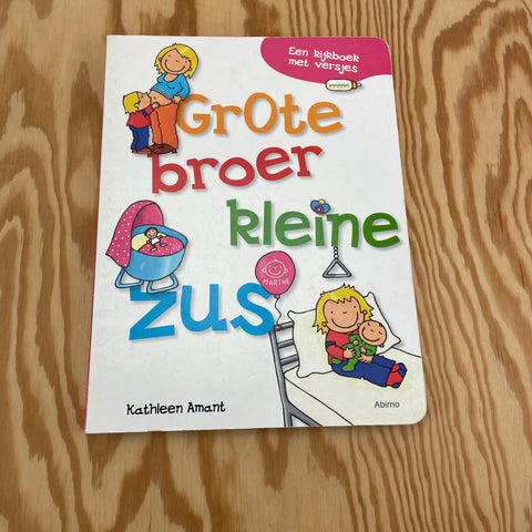 Boek Grote broer, kleine zus