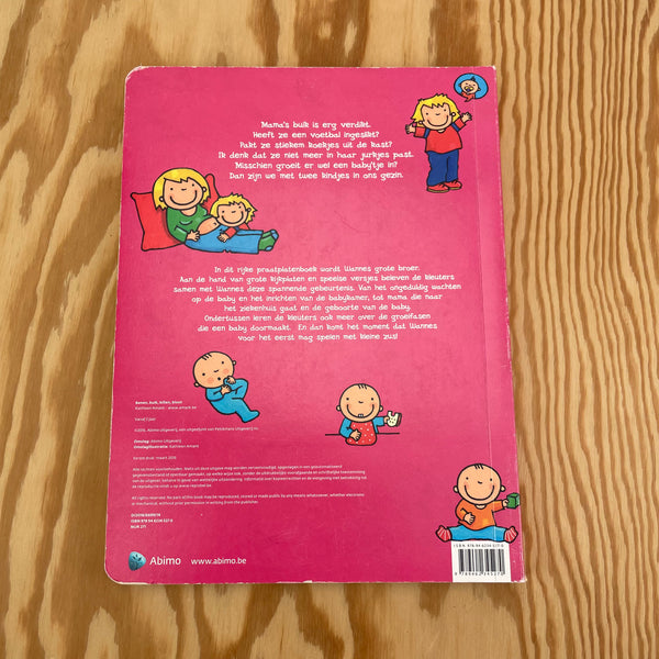 Boek Grote broer, kleine zus