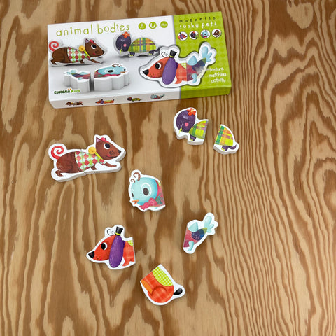 Magneetblokken dieren