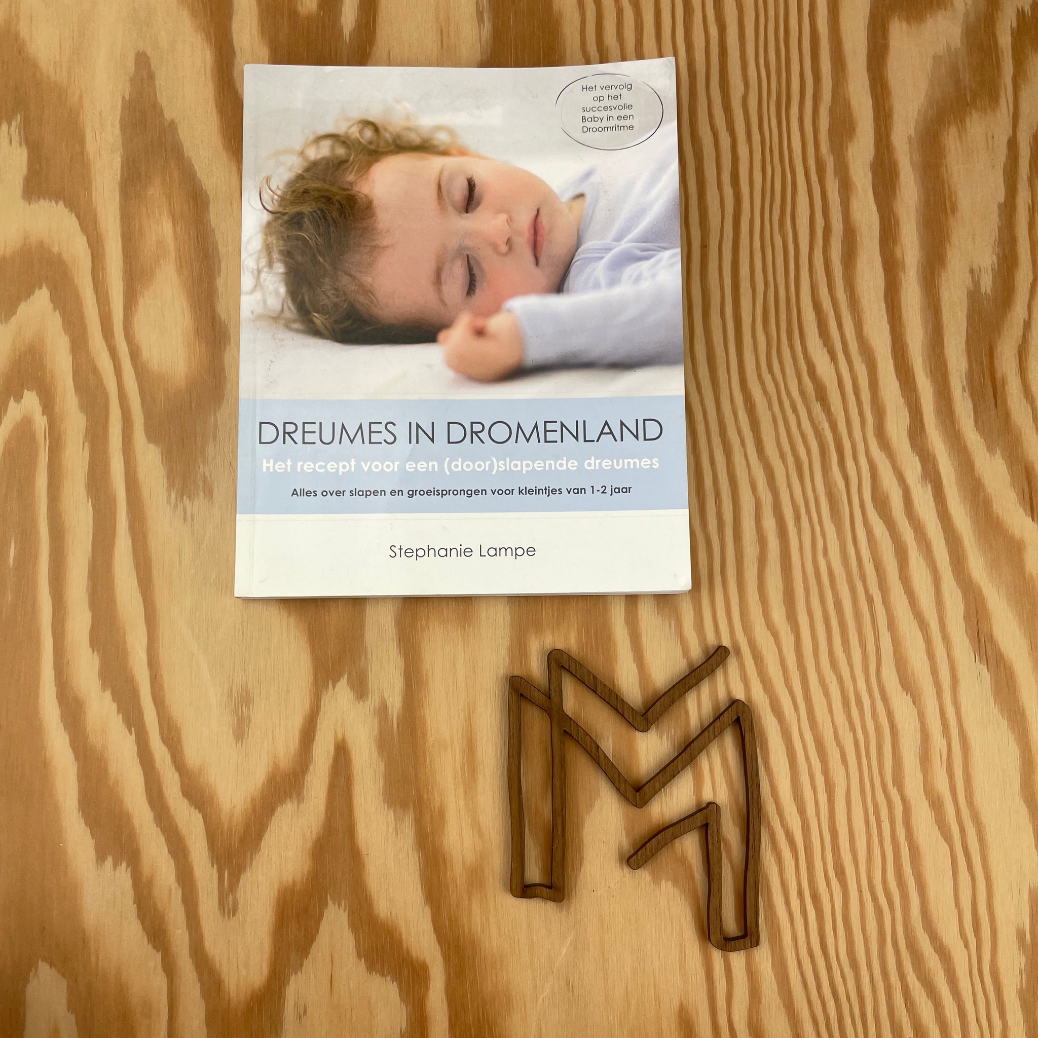 Boek Dreumes in dromenland