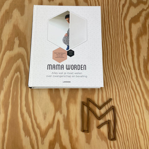 Boek Mama worden - Mama Baas