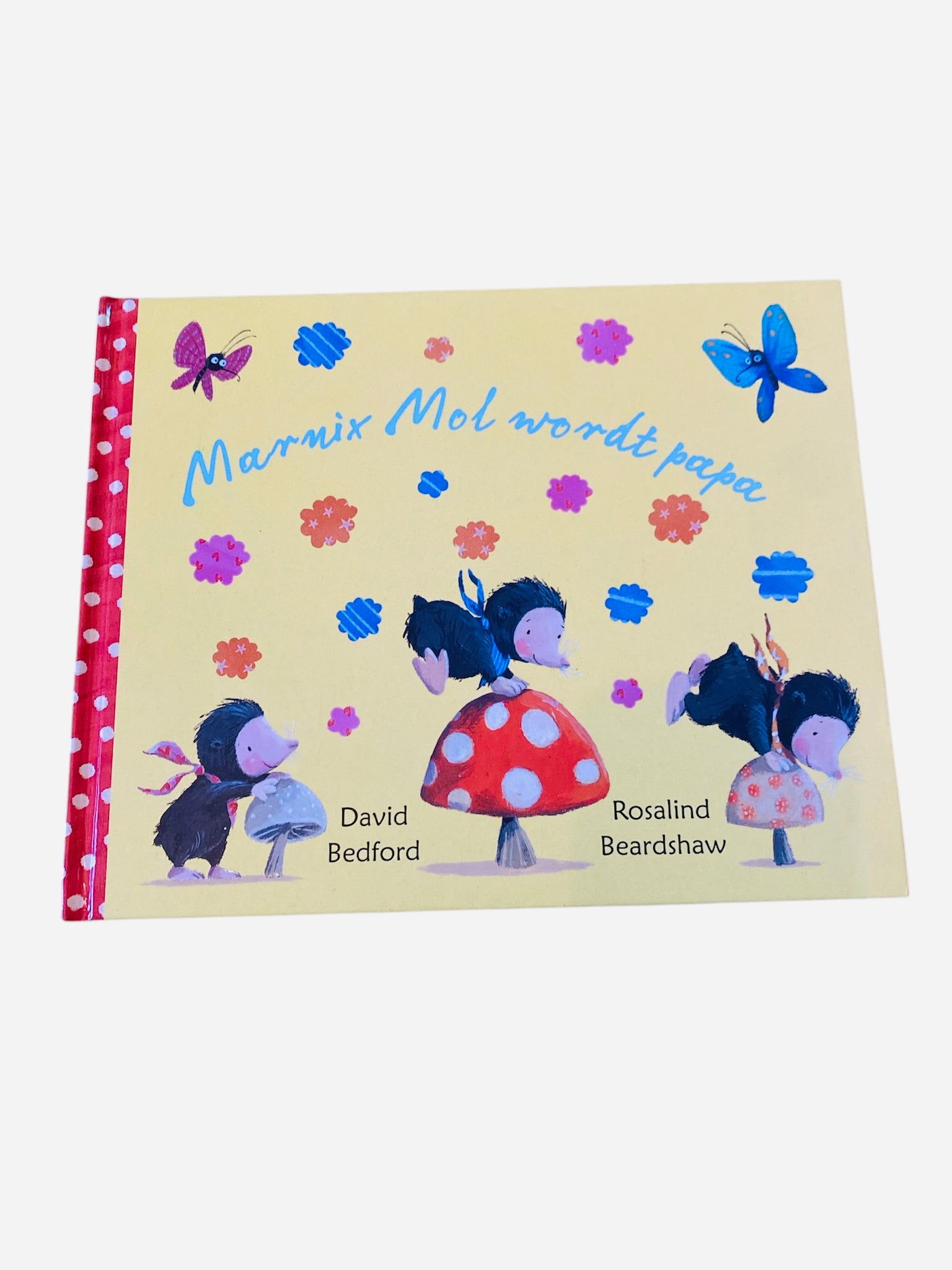 boek: Marnix mol wordt papa