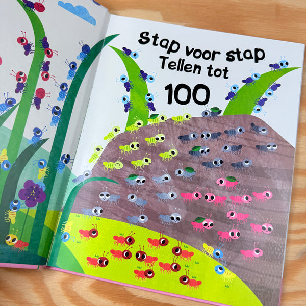 boek: stap voor stap tellen tot 100