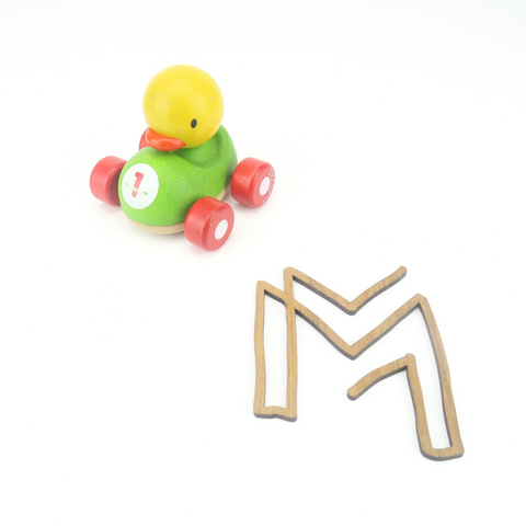 Plantoys auto met eend