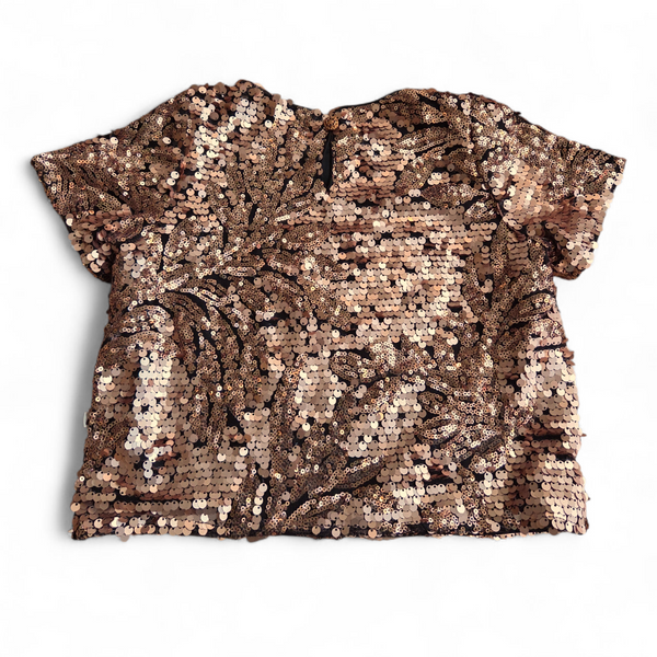 Ammehoela Glitter top 3-4j